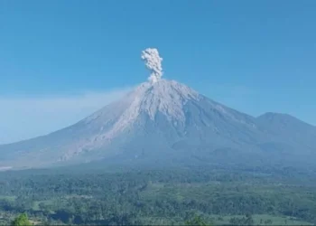 Tiga Kali Erupsi, Semeru Tembus 1.000 Meter