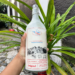 Mahasiswa UB Rintis Susu Mas Jack, Angkat Potensi Peternak Lokal