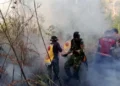 Asap Karhutla Meluas hingga Malaysia dan Singapura, Kualitas Udara Jadi Sorotan