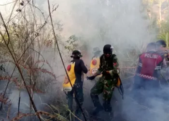 Asap Karhutla Meluas hingga Malaysia dan Singapura, Kualitas Udara Jadi Sorotan