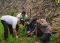 Bekas Karhutla di Dharmasraya Malah Ditanami Sawit, Polisi Turun Tangan 