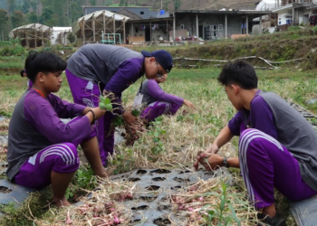 Brascho Nyantrik 2026, Siswa Brawijaya Smart School Belajar Langsung dari Warga Desa