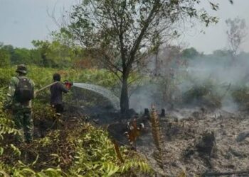 Kemenkes Catat 277.075 Kasus ISPA di Tujuh Provinsi Terdampak Asap Karhutla