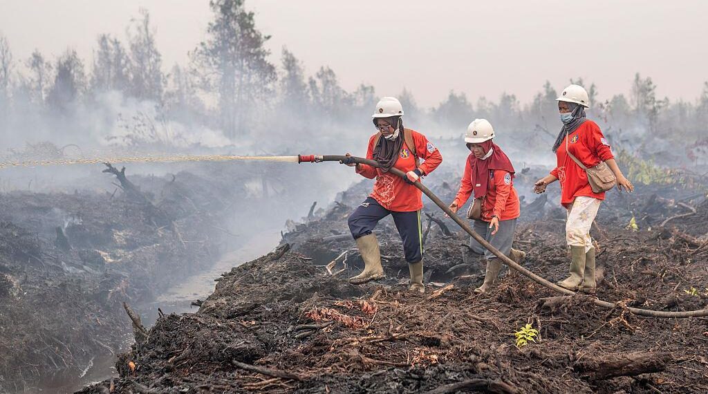 Karhutla Kalimantan dan Sumsel Sulit Padam, Bara Gambut Jadi Tantangan